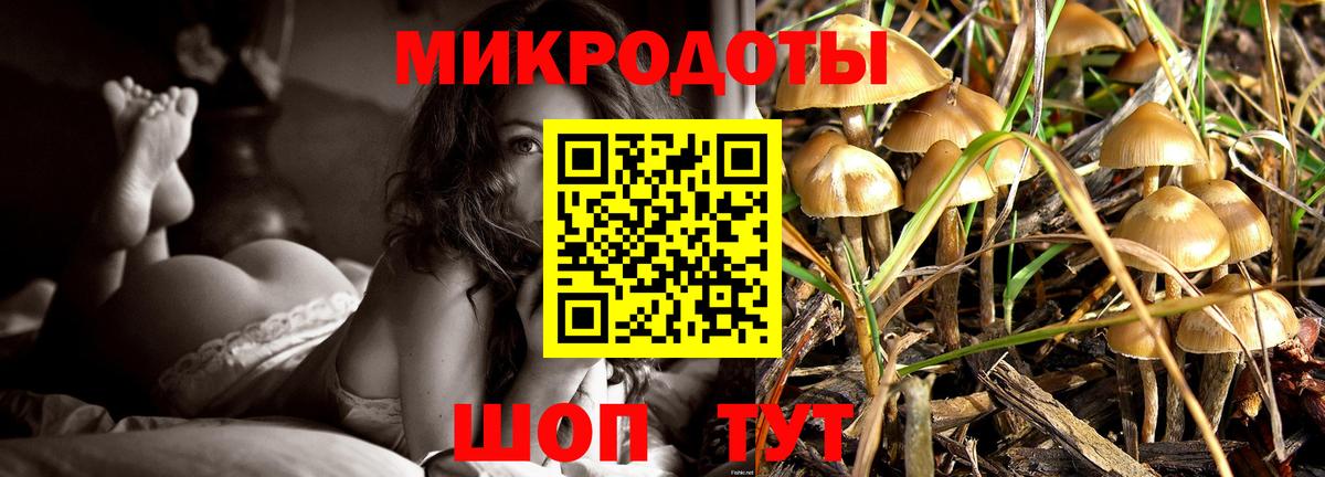 Галлюциногенные грибы мицелий Слободской